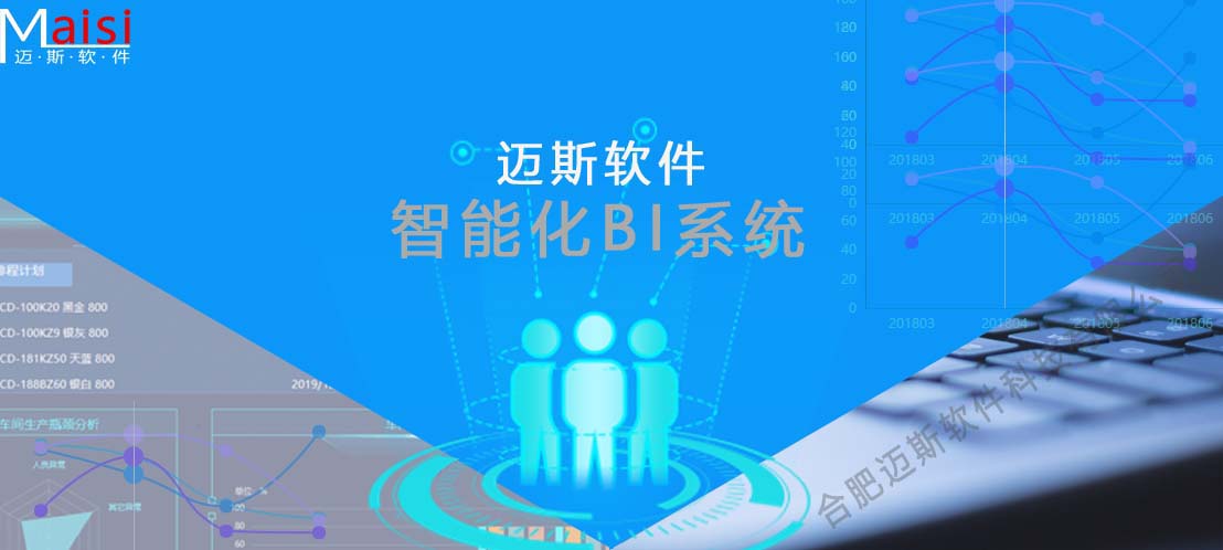 岳阳BI系统 0000.jpg